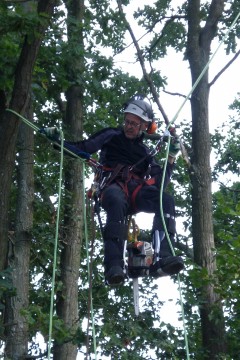 Durch den Einbau eines 2.Seilsystems kann ich auf den 2. Baum wechseln ohne wieder auf den Boden zurück zu kehren