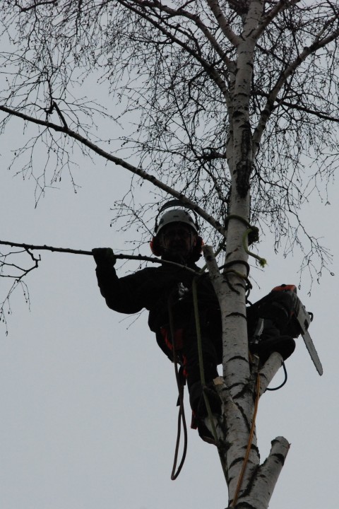 In ca. 20 m Höhe. Gesamthöhe 25 m.